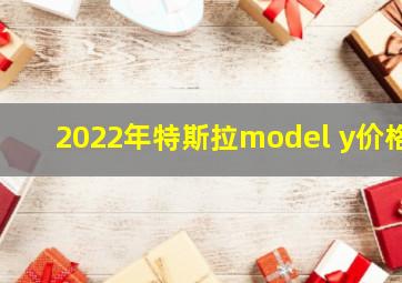 2022年特斯拉model y价格